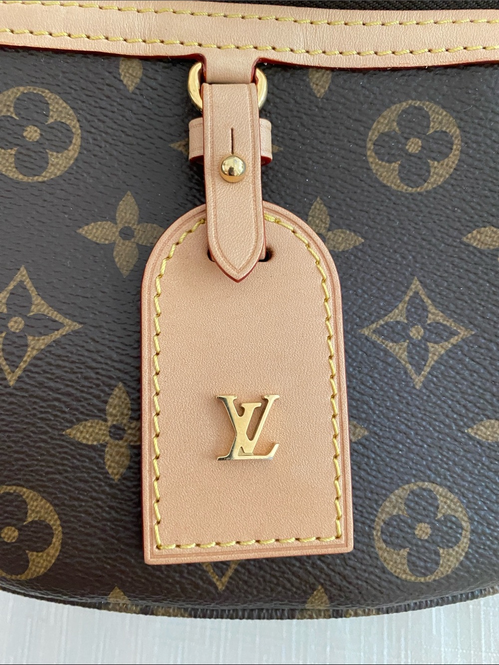 Louis Vuitton High Rise Bumbag - Picture 2 of 16